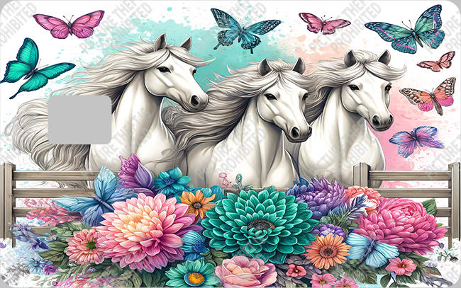 Bank  Card Sticker-BC-58